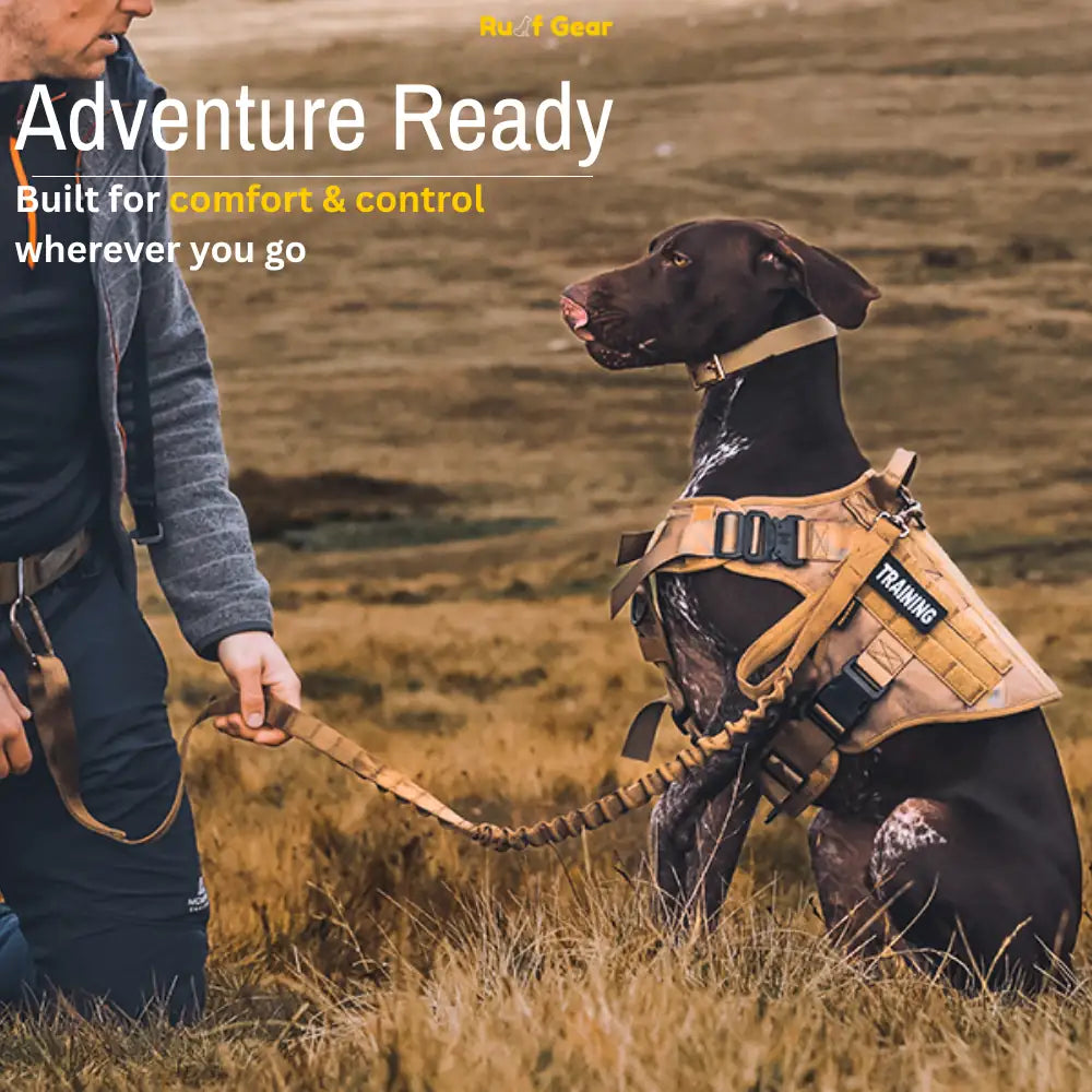 Tactical Harness