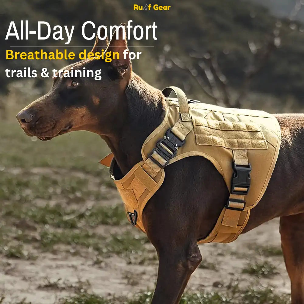 Tactical Harness