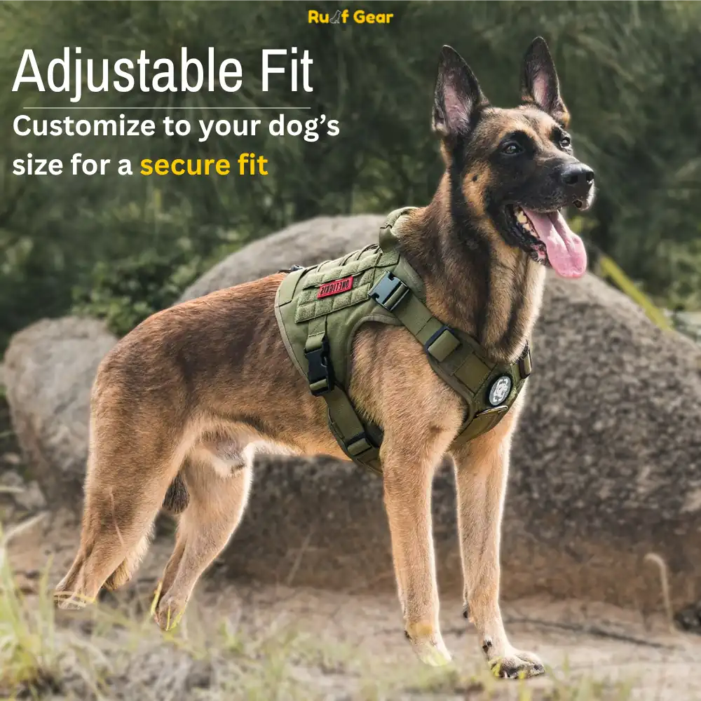 Tactical Harness