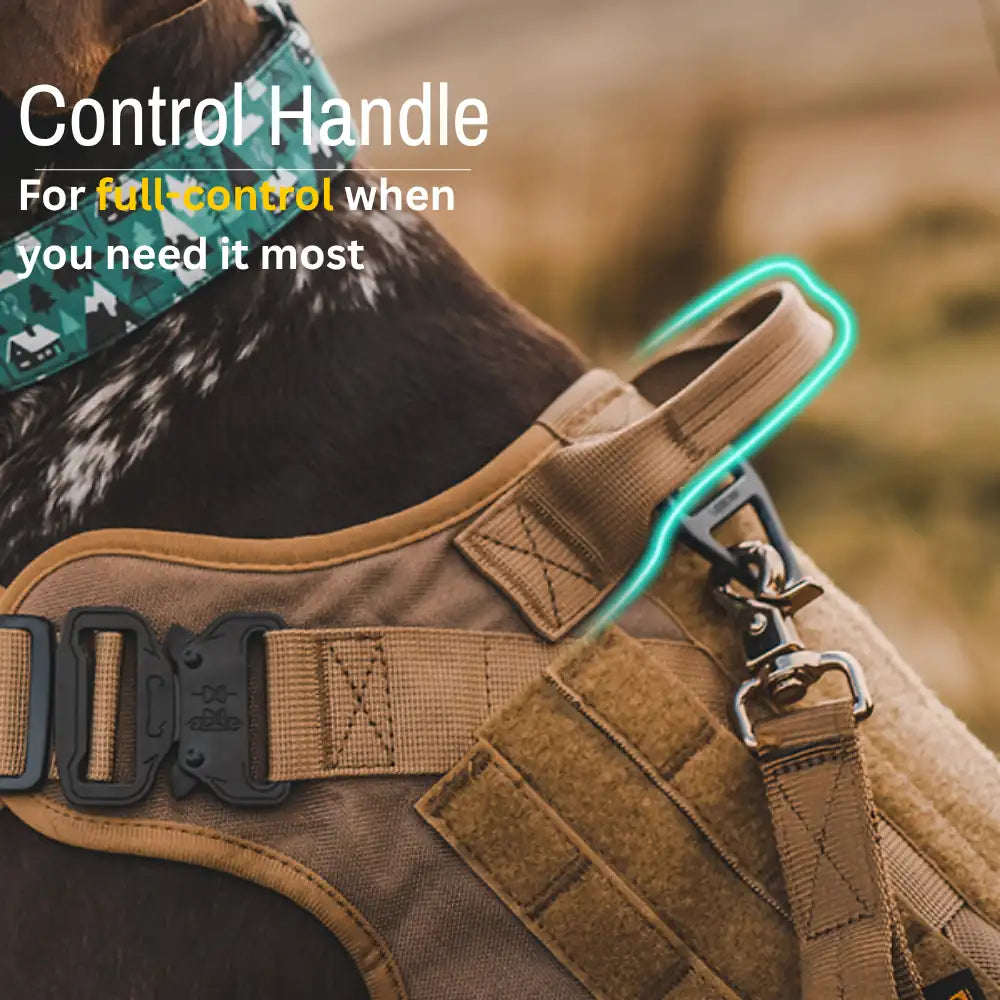 Tactical Harness