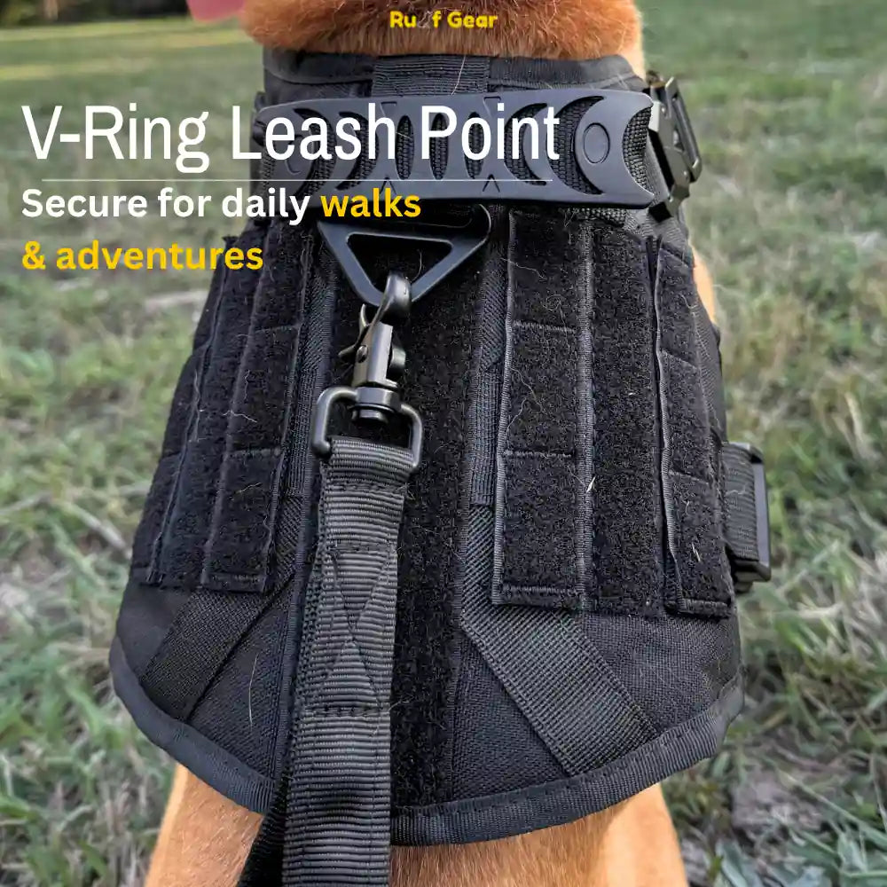 Tactical Harness