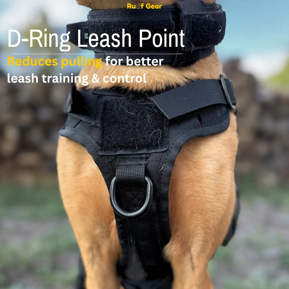Tactical Harness