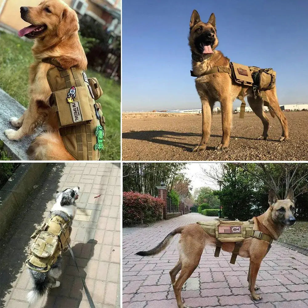 Harness & Collar Patches