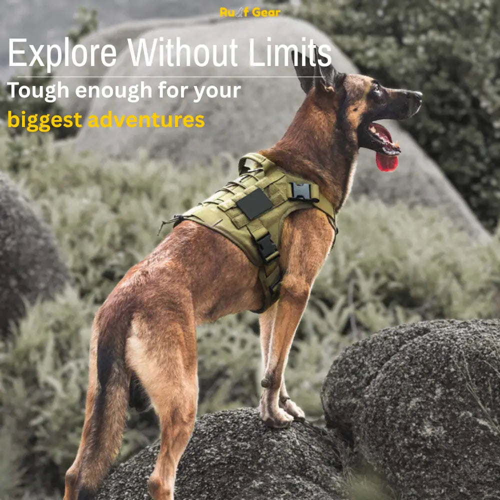 Tactical Harness