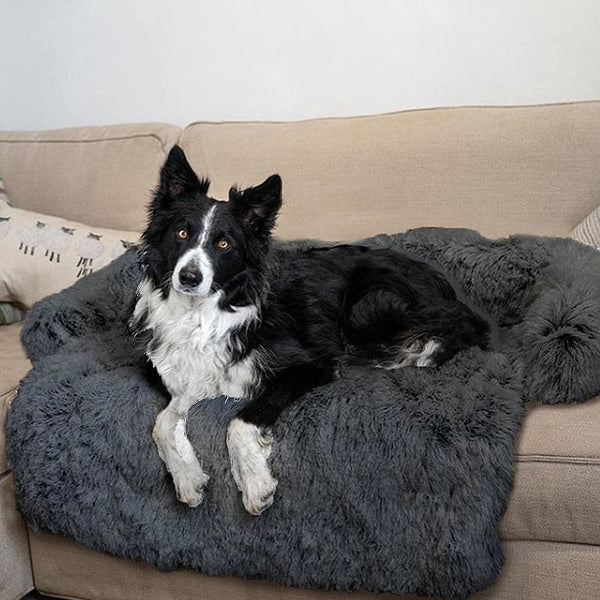Sofa Cover