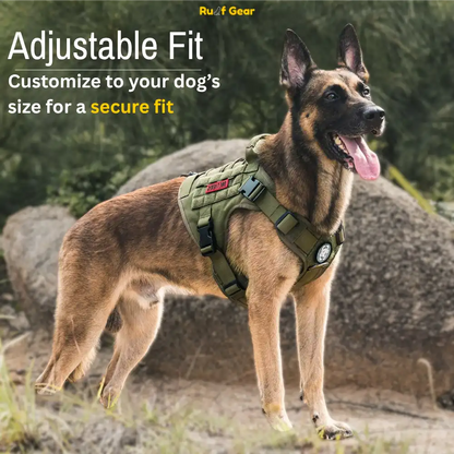 Tactical Harness