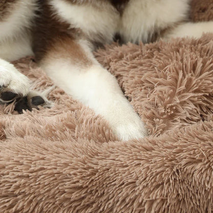 Paw Bed