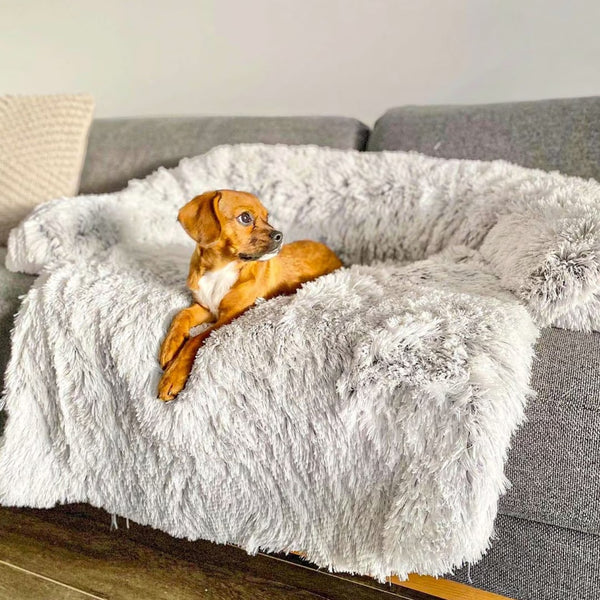Sofa Cover