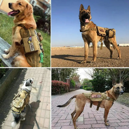 Harness & Collar Patches