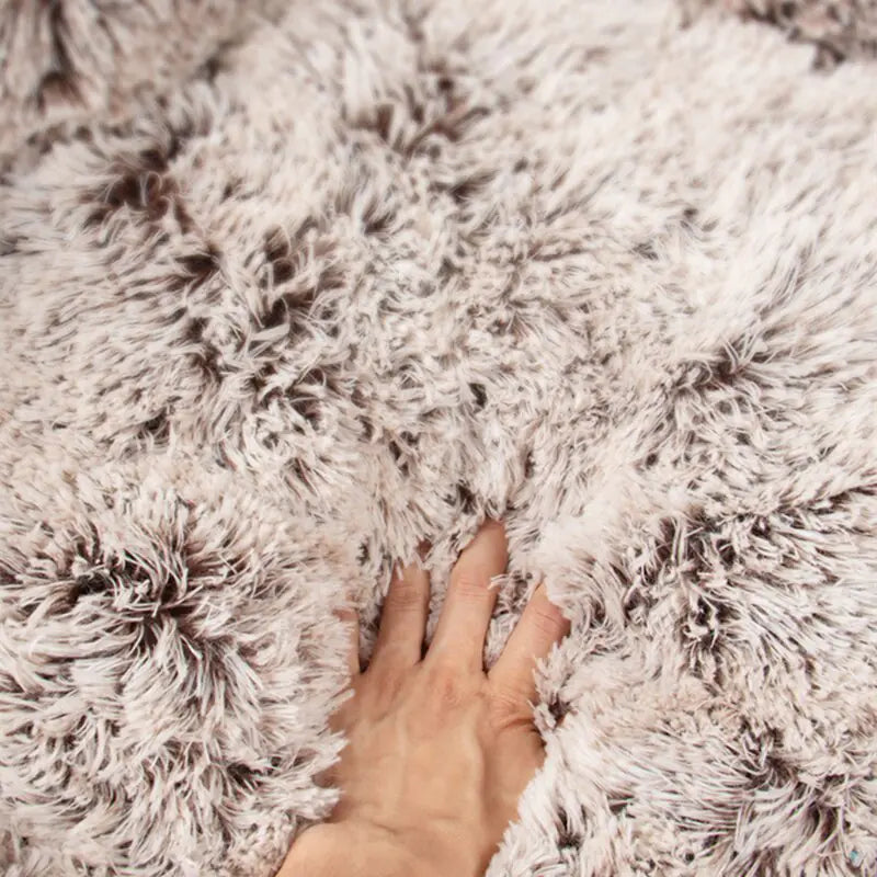 Paw Bed