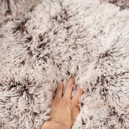 Paw Bed