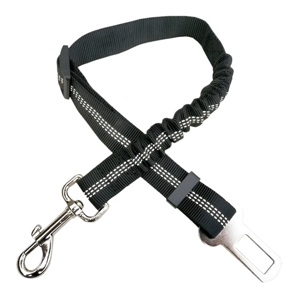 Dog Seat Belt