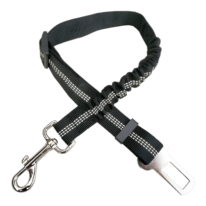 Dog Seat Belt