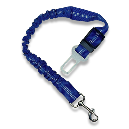 Dog Seat Belt