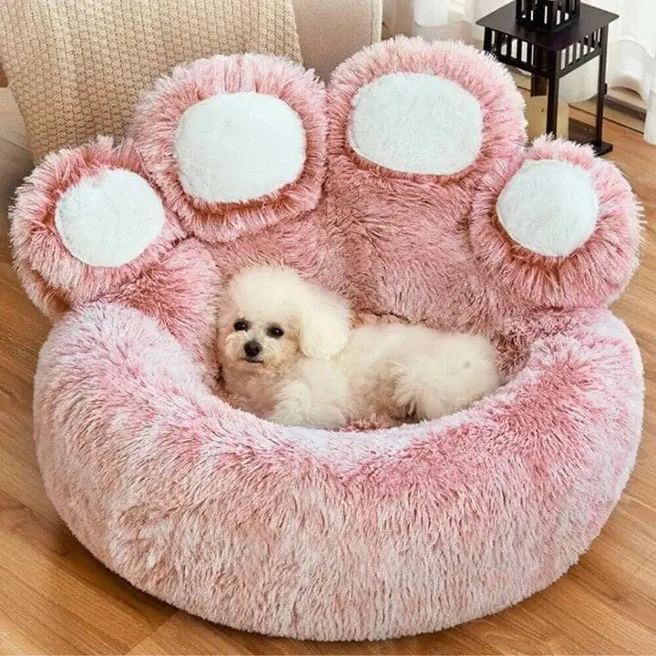 Paw Bed