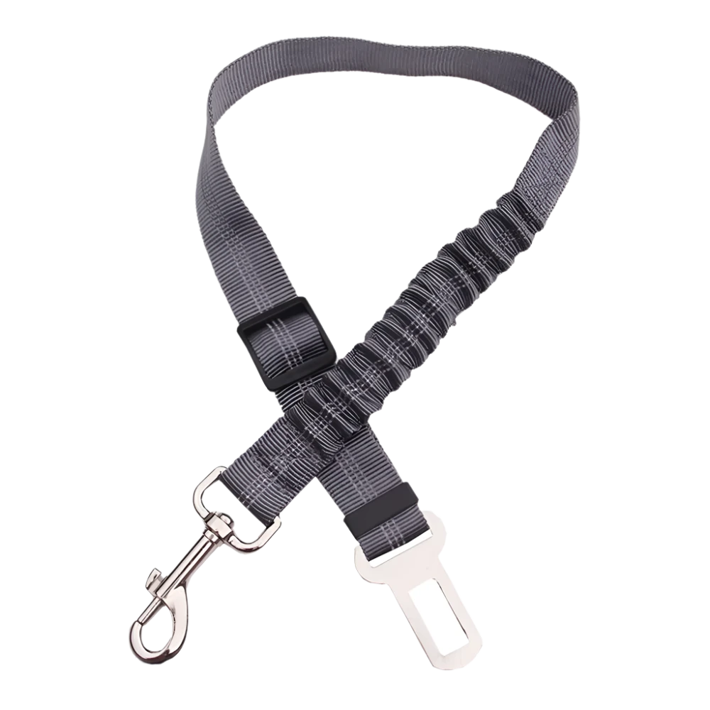 Dog Seat Belt