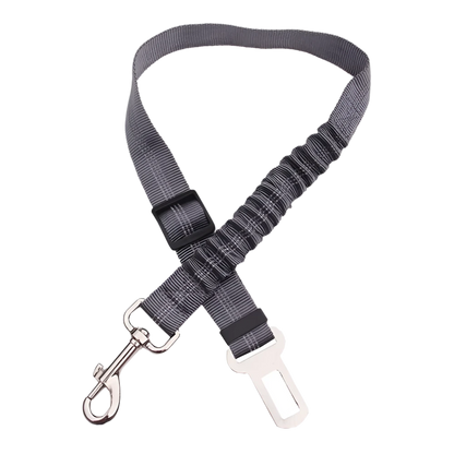 Dog Seat Belt