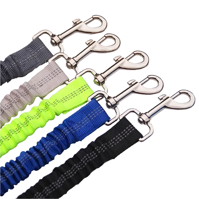 Dog Seat Belt