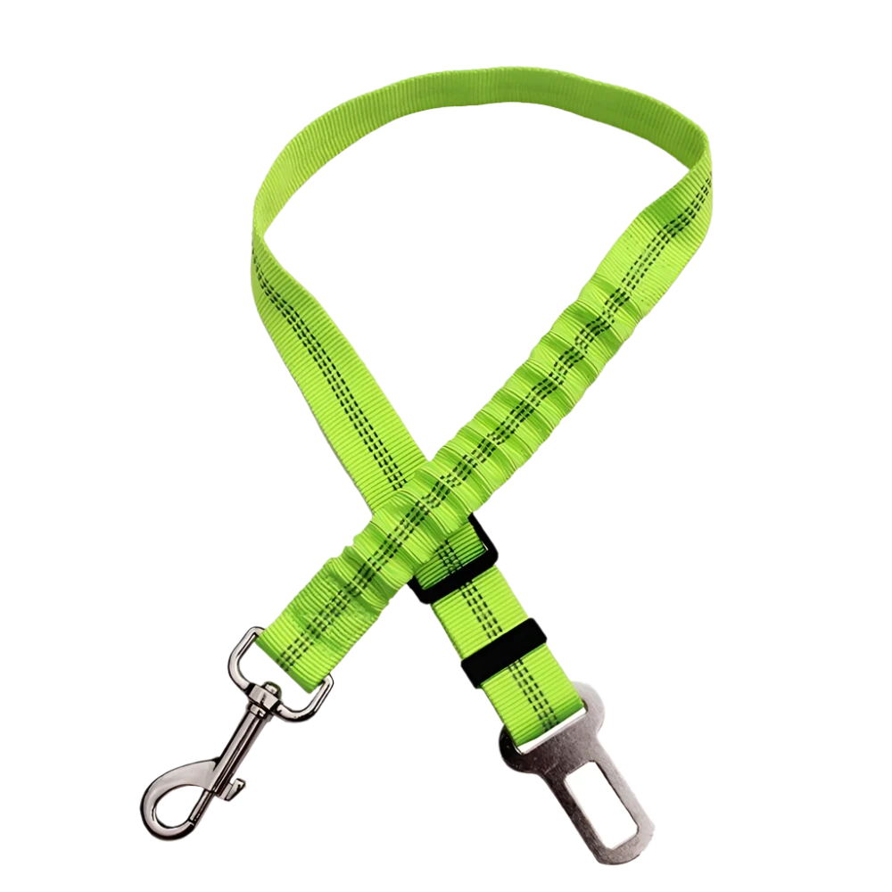 Dog Seat Belt
