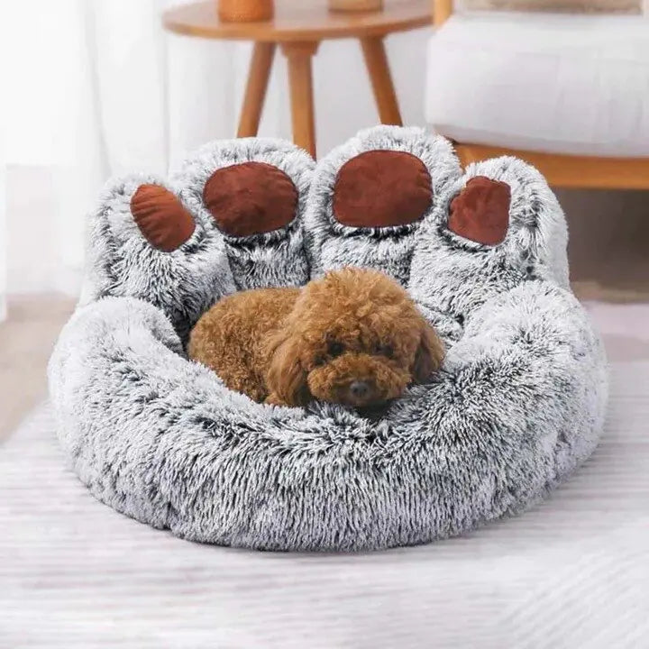 Paw Bed