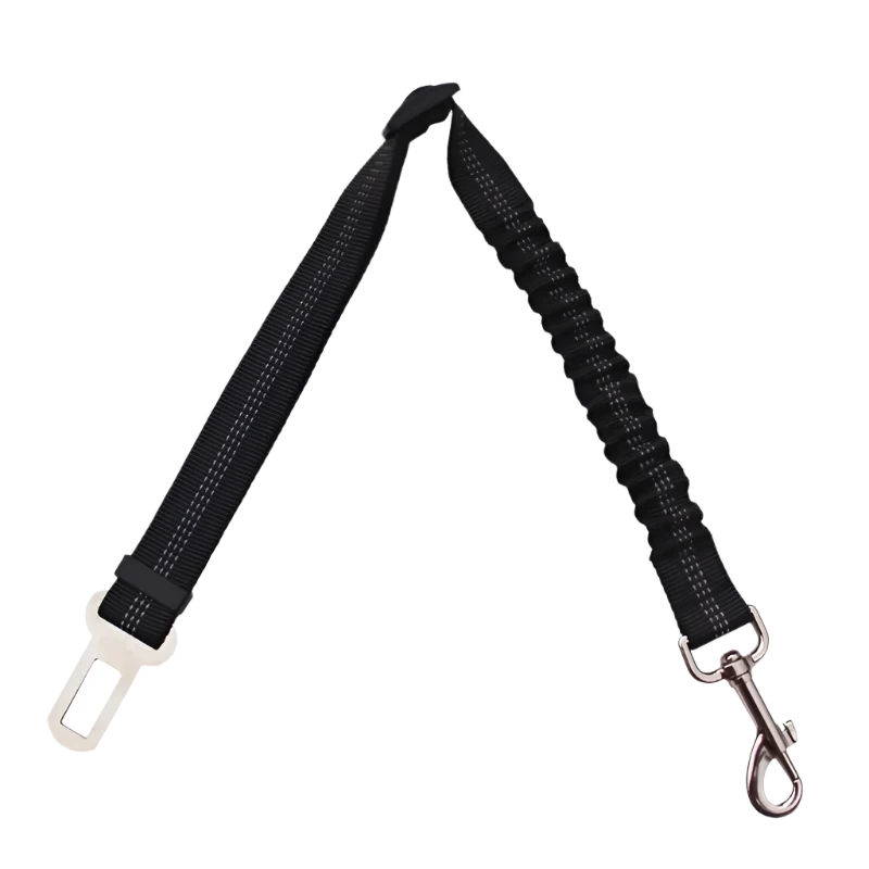 Dog Seat Belt
