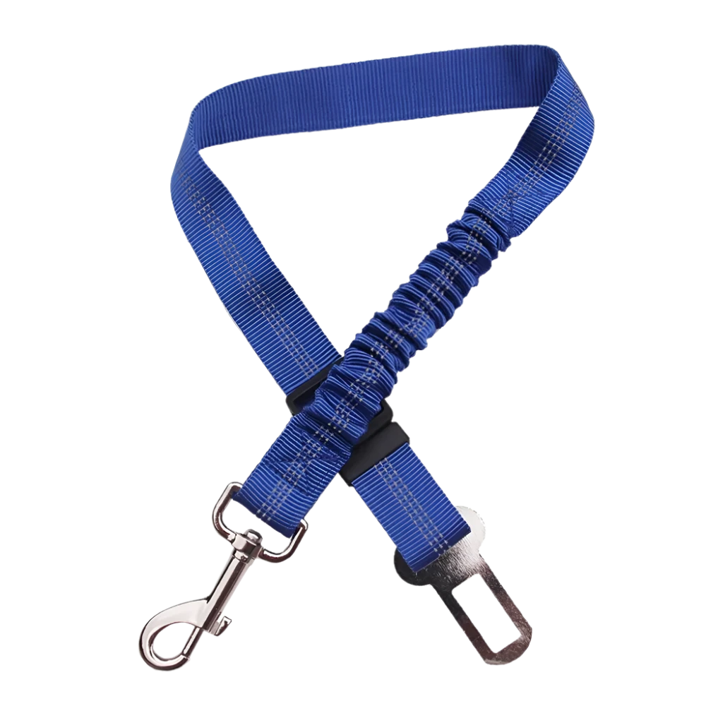 Dog Seat Belt